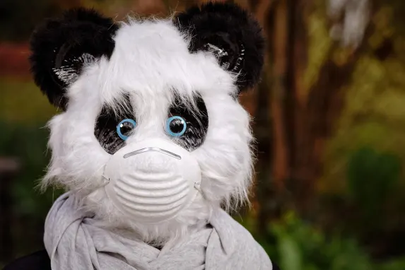 Vegadream Kazino Pagalba